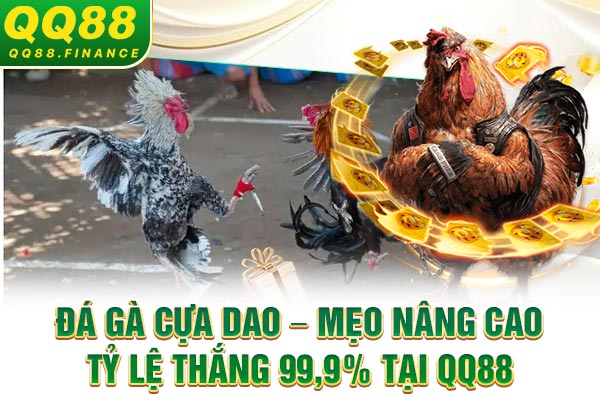 Đá Gà Cựa Dao – Mẹo Nâng Cao Tỷ Lệ Thắng 99,9% Tại QQ88