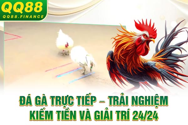 Đá gà trực tiếp – Trải nghiệm kiếm tiền và giải trí 24/24