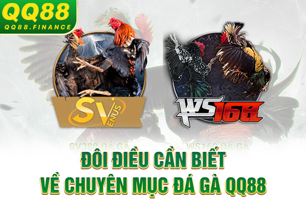 Đôi điều cần biết về chuyên mục đá gà QQ88